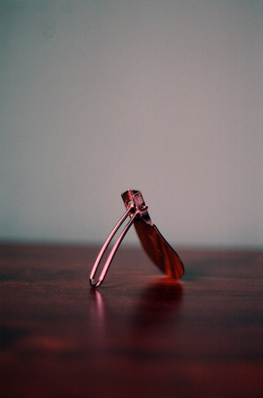The Traveller's Shoehorn