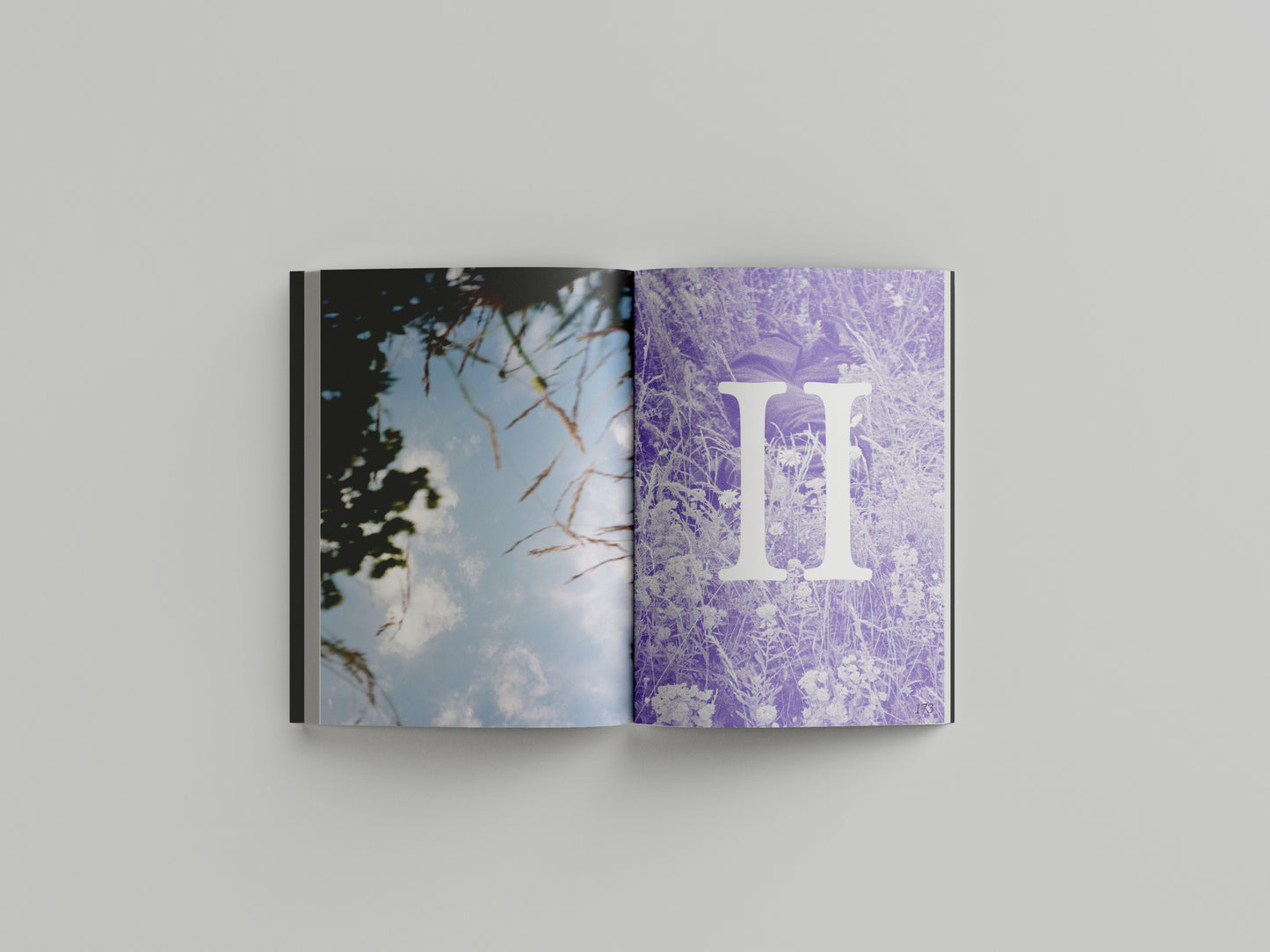 Issue 5: Leisure